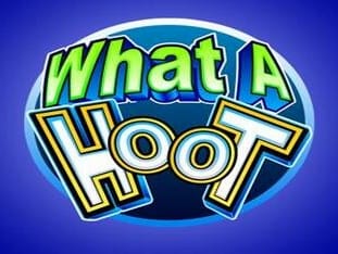 What A Hoot game cover