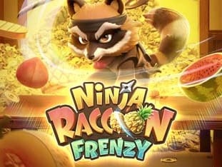 Ninja Racoon Frenzy game cover
